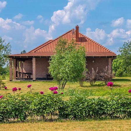 Prie Traku Villa Petkeniskes Kültér fotó